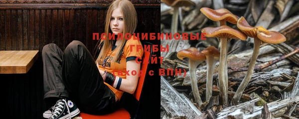 а пвп мука Белокуриха